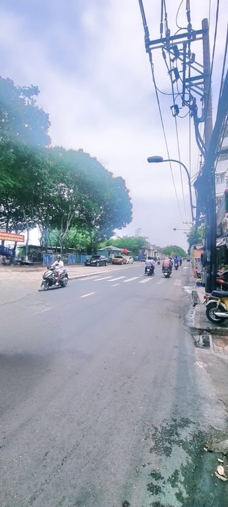 Ảnh 2